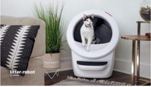 litter robot